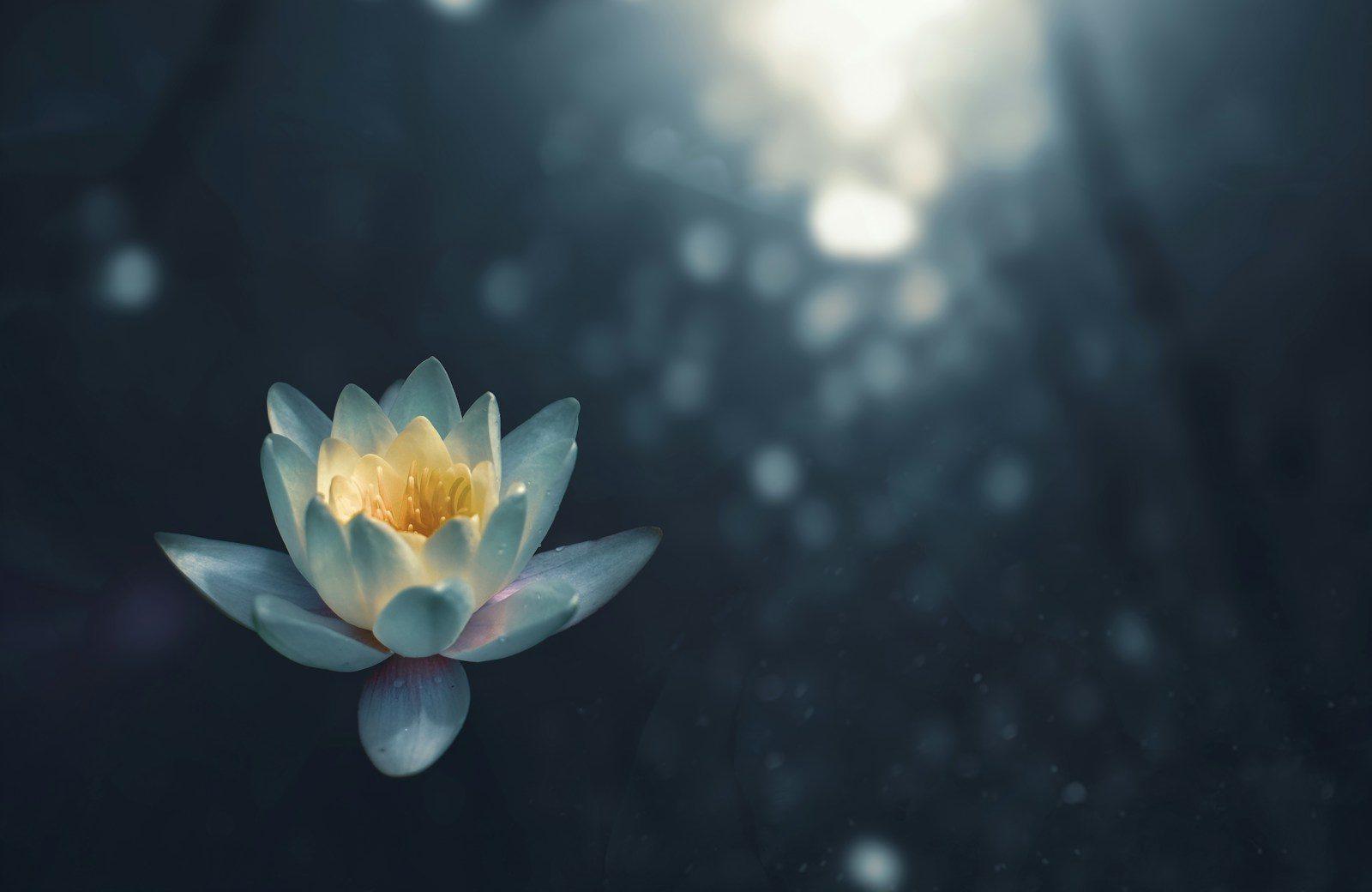 How to Start a Mindfulness Practice in 5 Minutes a Day